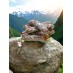 Saucisson Nature