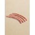 Saucisse Chipolata Comté