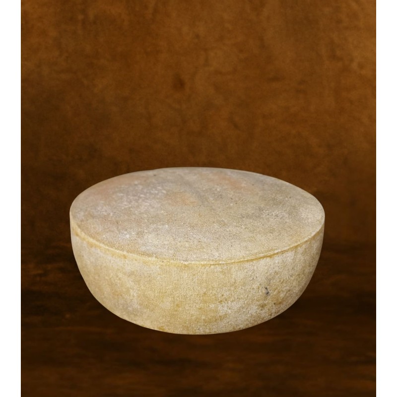 Tomme de Chèvre des Hautes Alpes