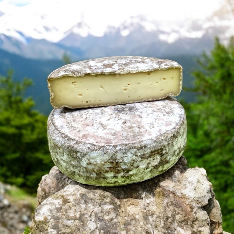 Tomme de Savoie ronde avec une croûte rugueuse, révéler d'une pâte jaune pâle, posée sur une pierre dans un paysage alpin.