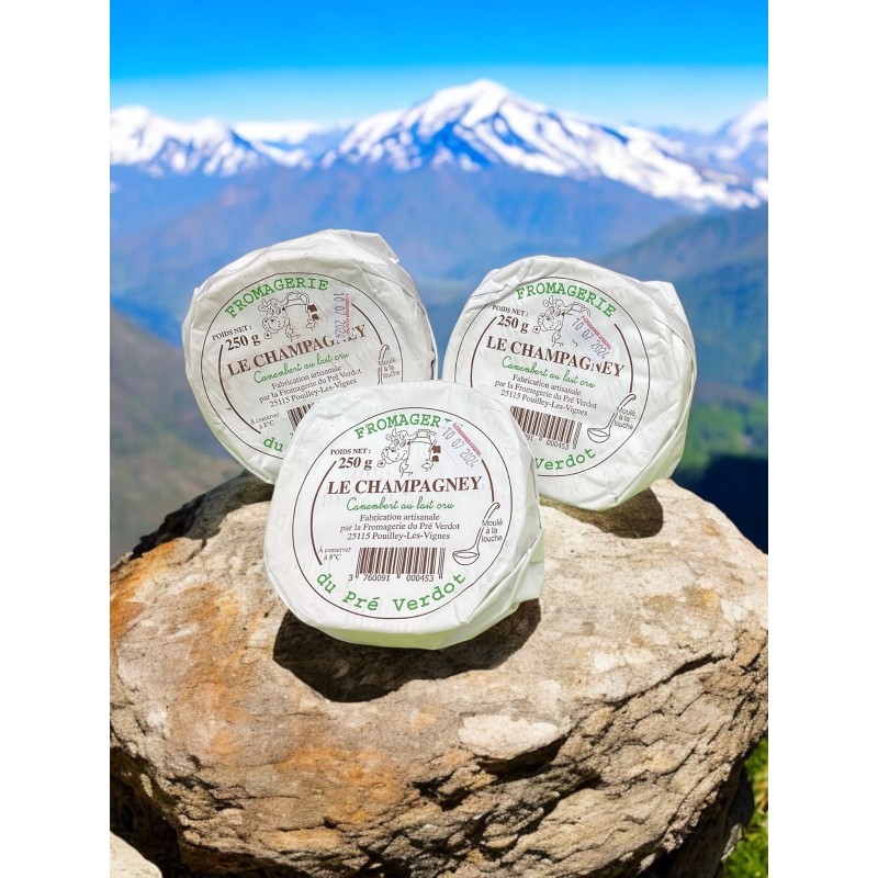 Camembert Arstinanal Le Champagney