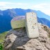Tomme Du Jura aux Noix