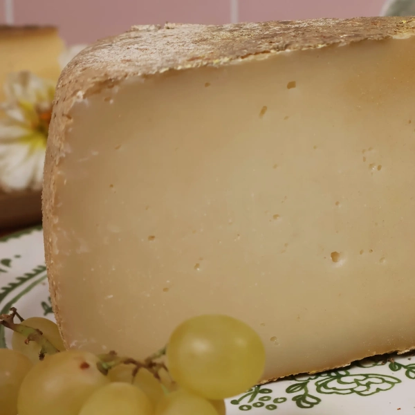 Tomme de Chèvre des Hautes Alpes - Image 2